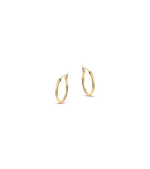 Venus Gold Hoop Earrings Venus Gold Hoop Earrings