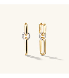 Mixed Convertible Link Earrings